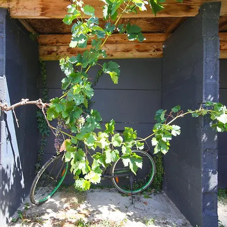 La Maisonnette De - Avec Jardin Apartment